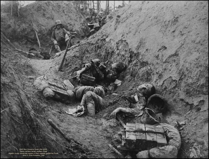 Bodies of Fallen WWI Trench Soldiers COVE